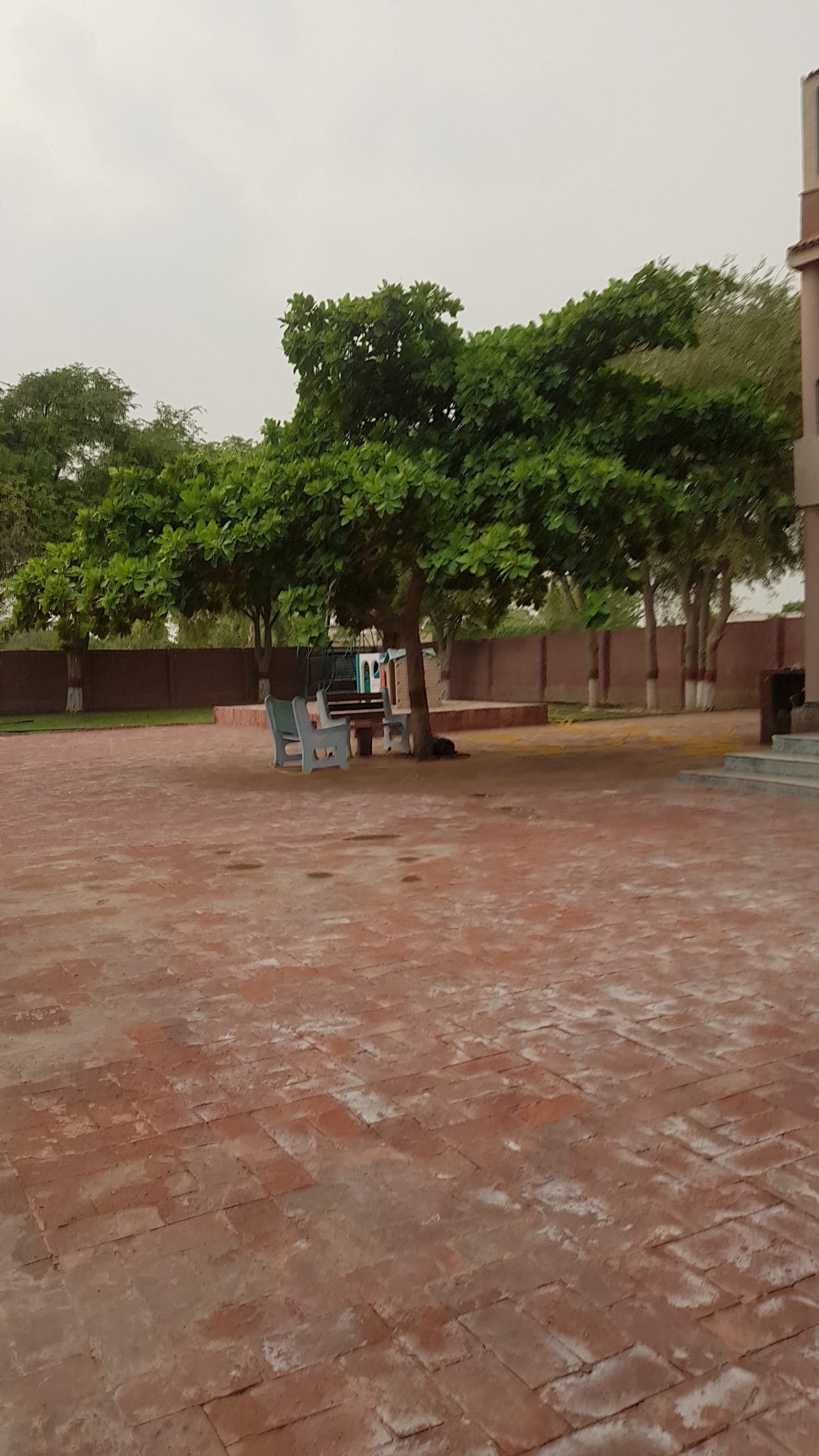 Durrani Farm House — photo 8