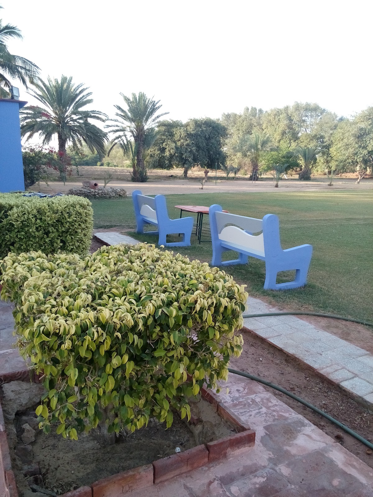 Durrani Farm House — photo 7