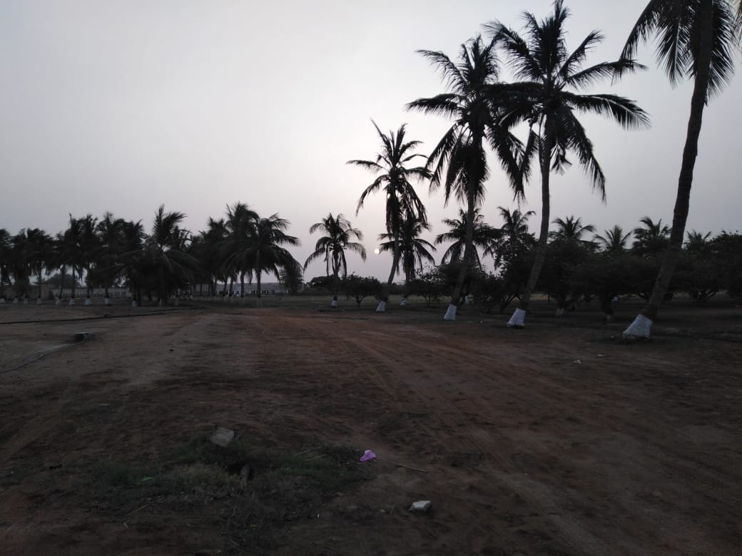 Durrani Farm House — photo 6