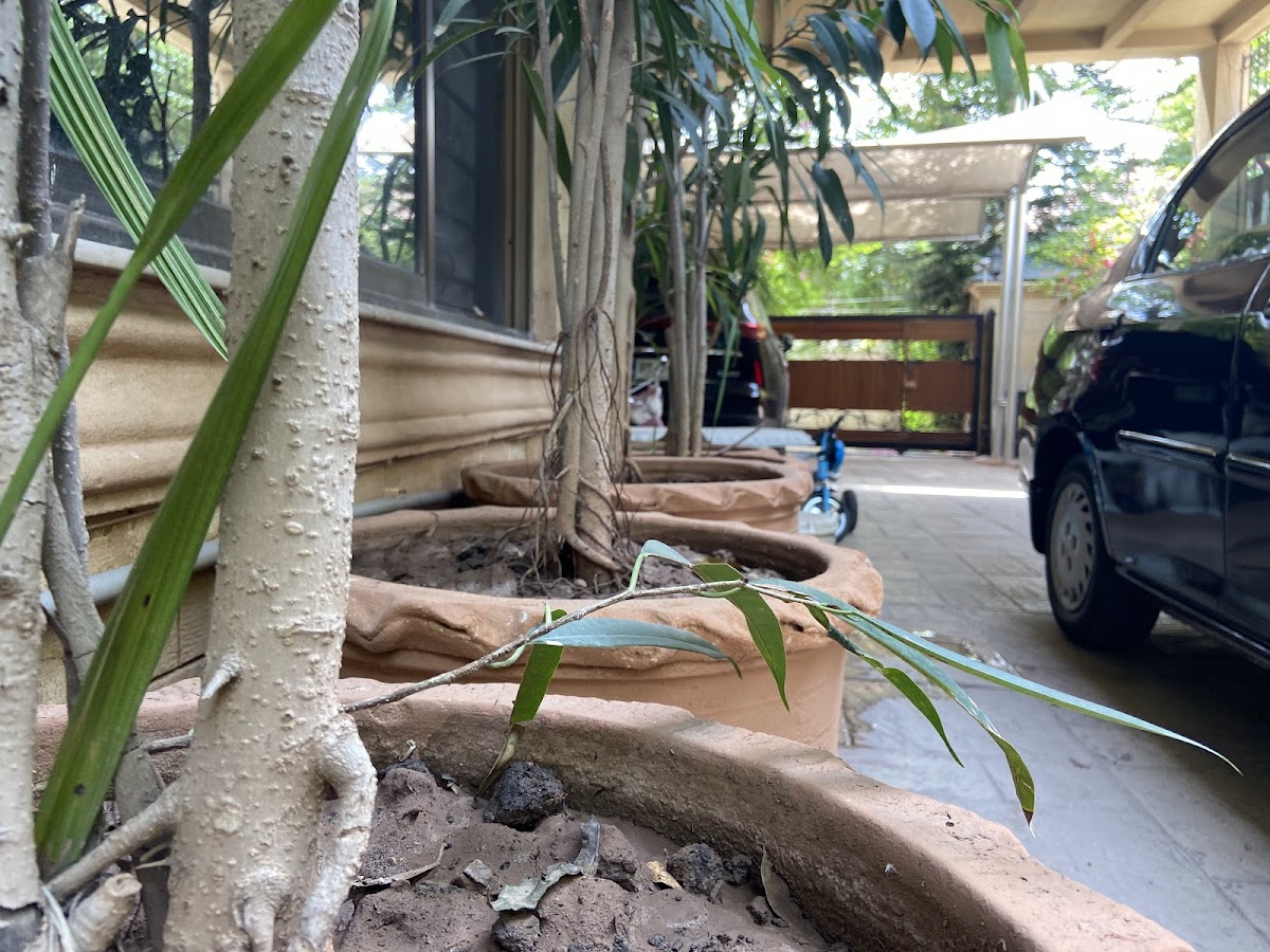 E-Lodge Guest House — photo 8