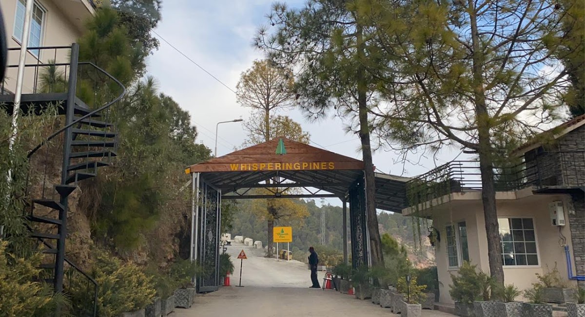 Whispering Pines Hotel & Residences — photo 10