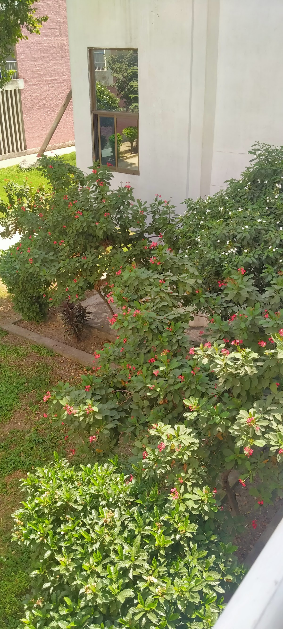 Abdul Sattar Edhi Hostel - UET Lahore — photo 7