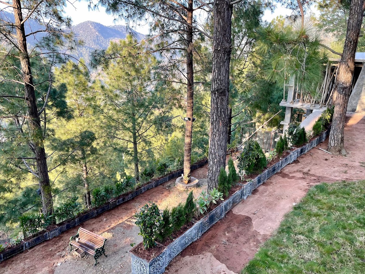 Redwood Resort (Pir Sohawa) — photo 9