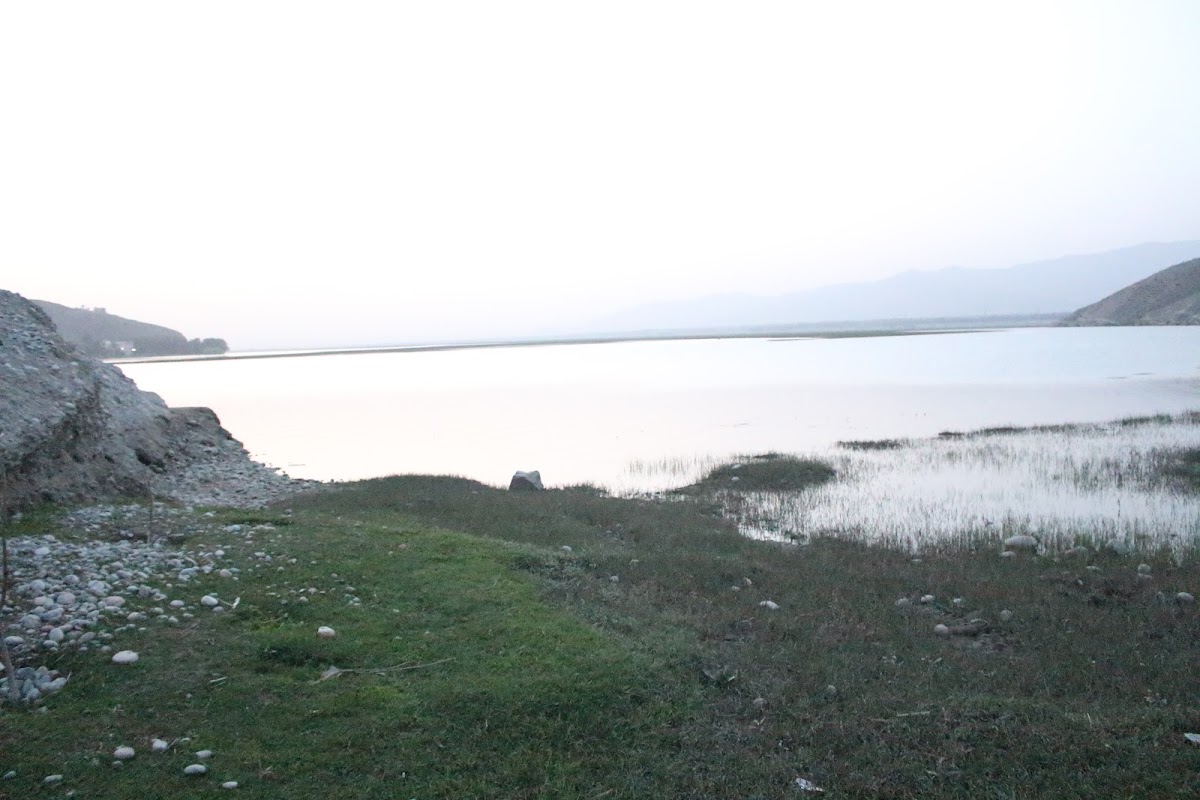 Wattan GuestHouse — photo 6