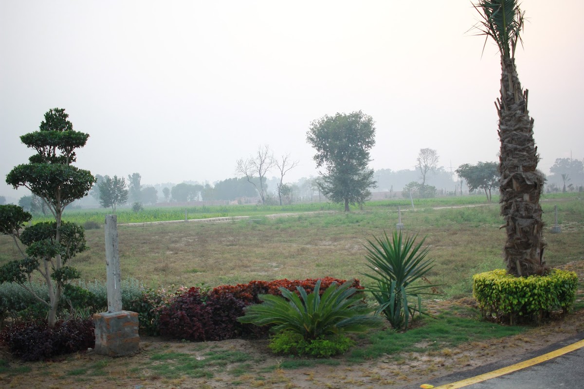 Raya Canal Farm Houses — photo 6