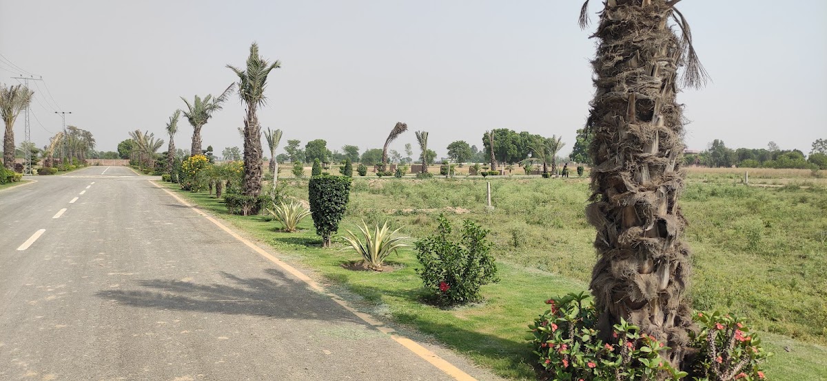 Raya Canal Farm Houses — photo 7