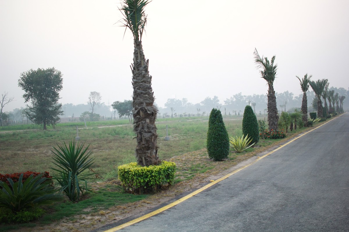 Raya Canal Farm Houses — photo 10