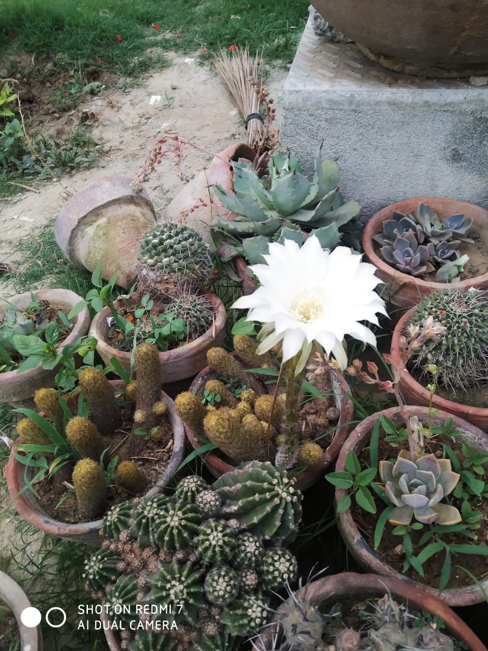 Khan's Farm House — photo 6