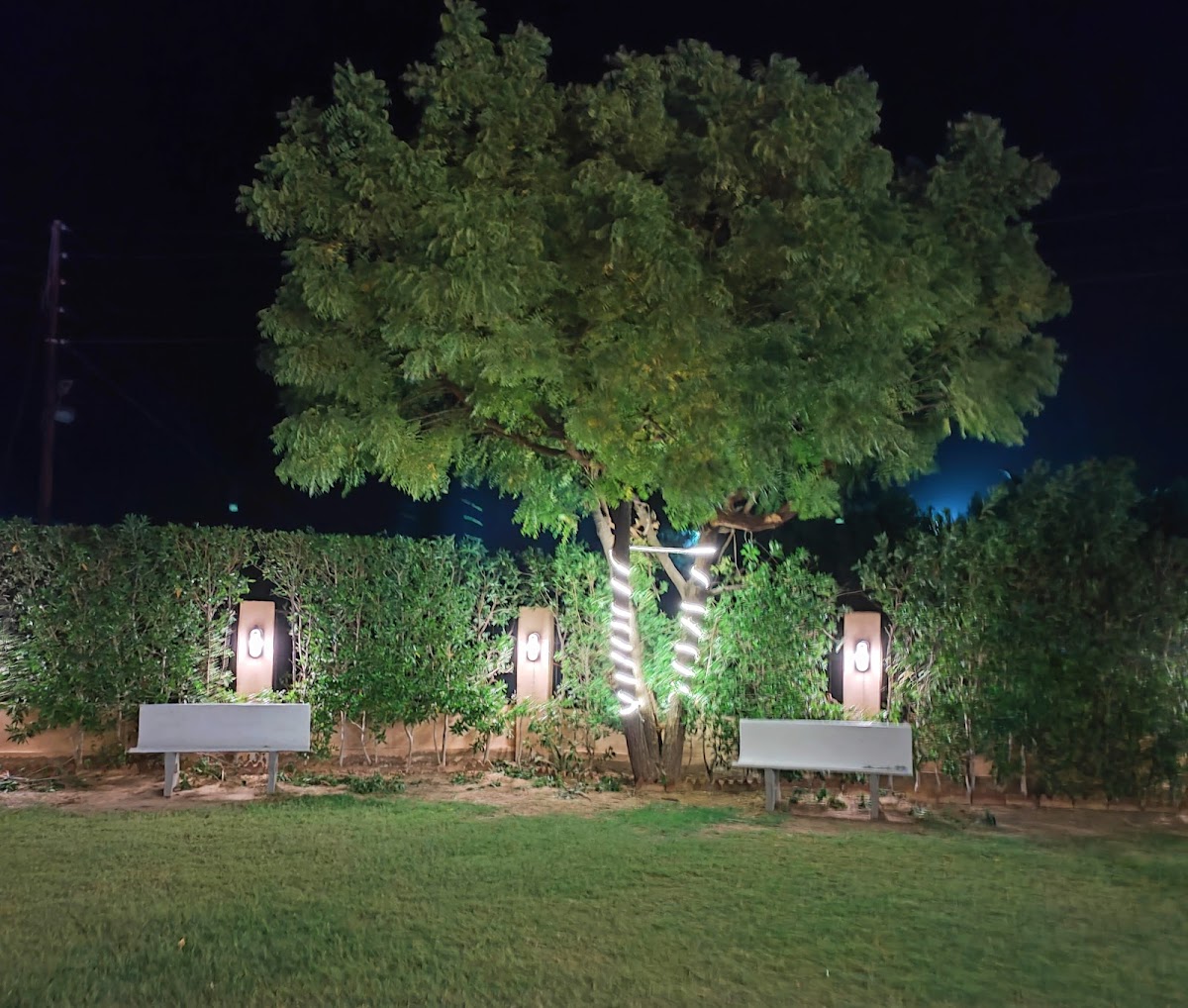 Holiday Inn Resort - Farm House — photo 10