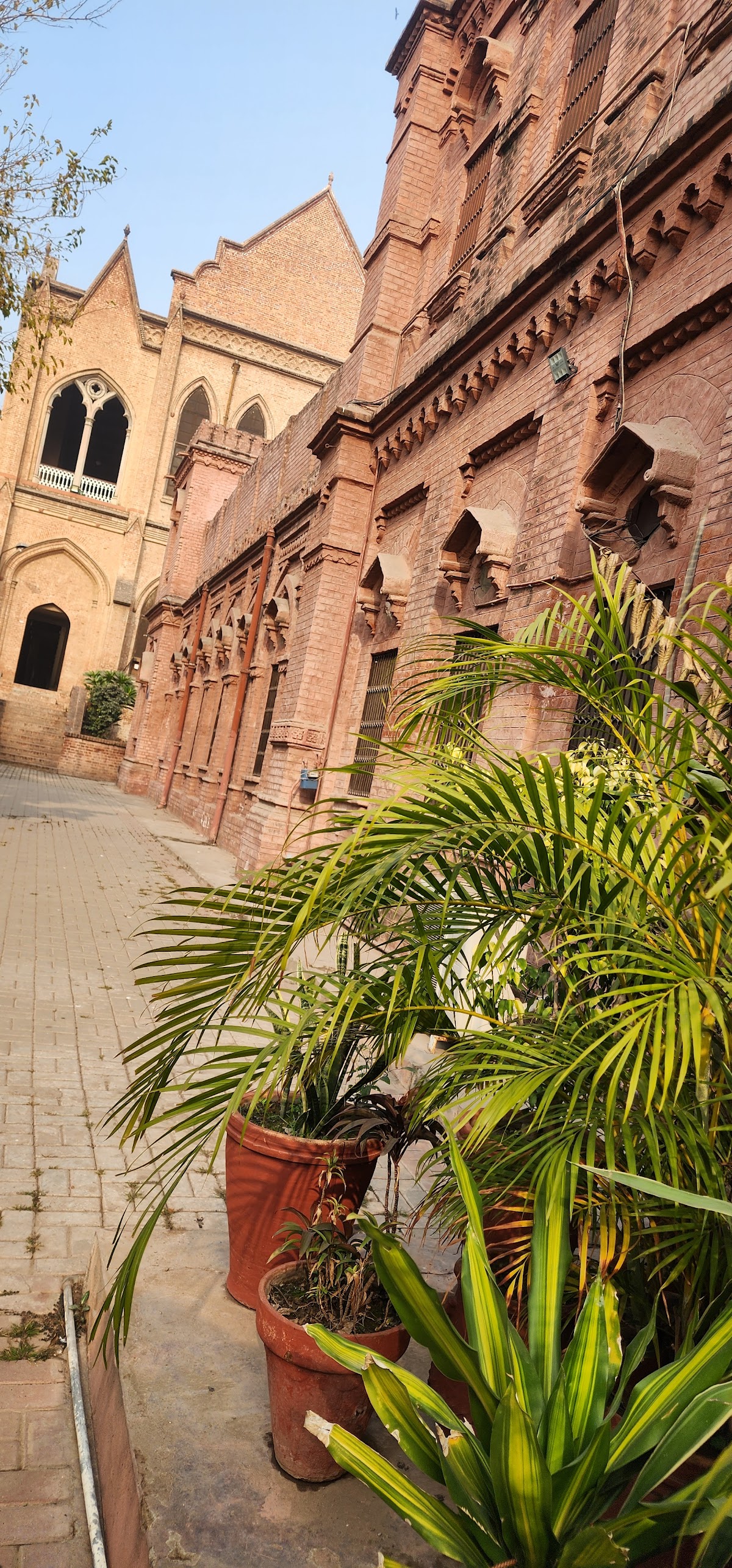 GCU Guest House — photo 10