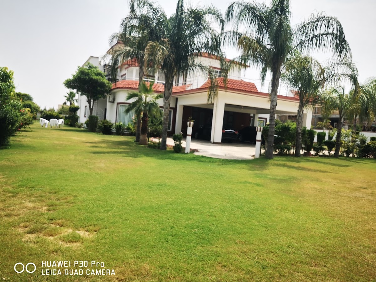 Golden resort — photo 10