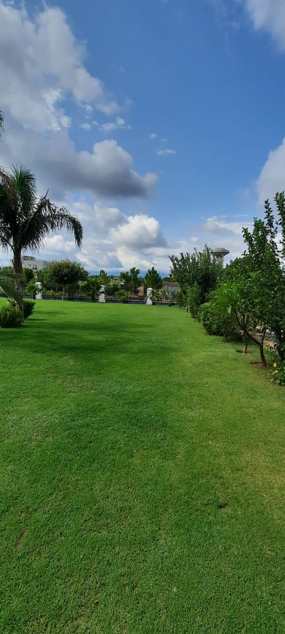 Golden resort — photo 6