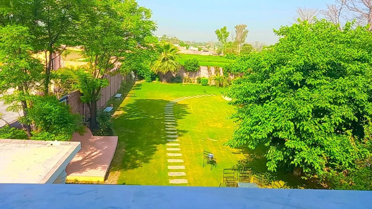 Hadi Farmhouse — photo 9