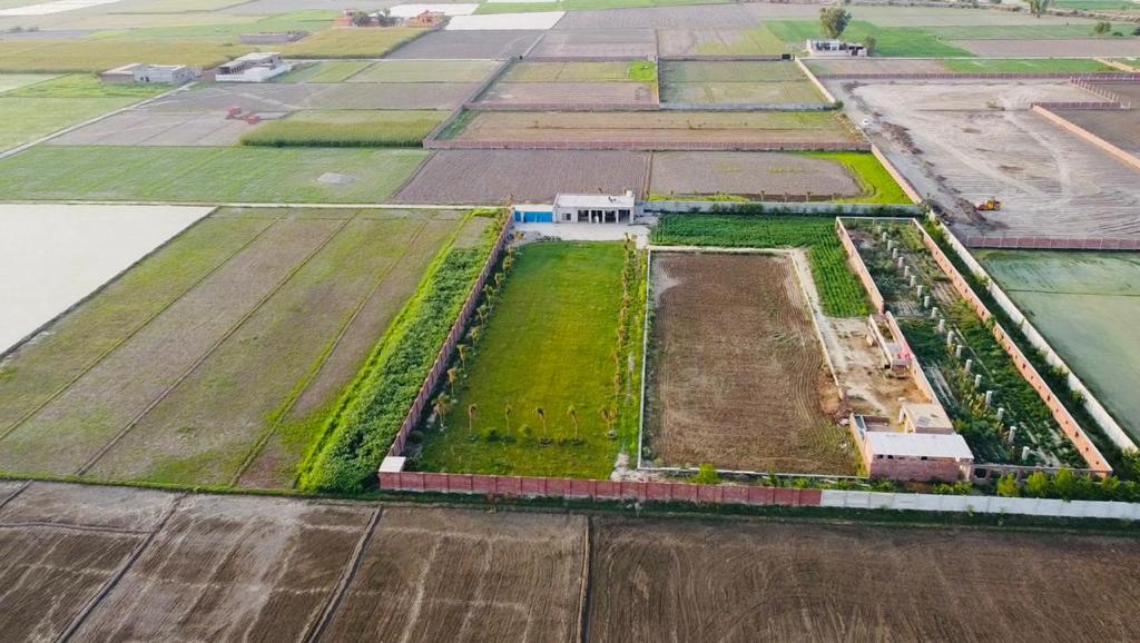 Lahore Orchard Farm Houses — photo 6