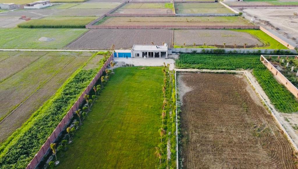 Lahore Orchard Farm Houses — photo 7