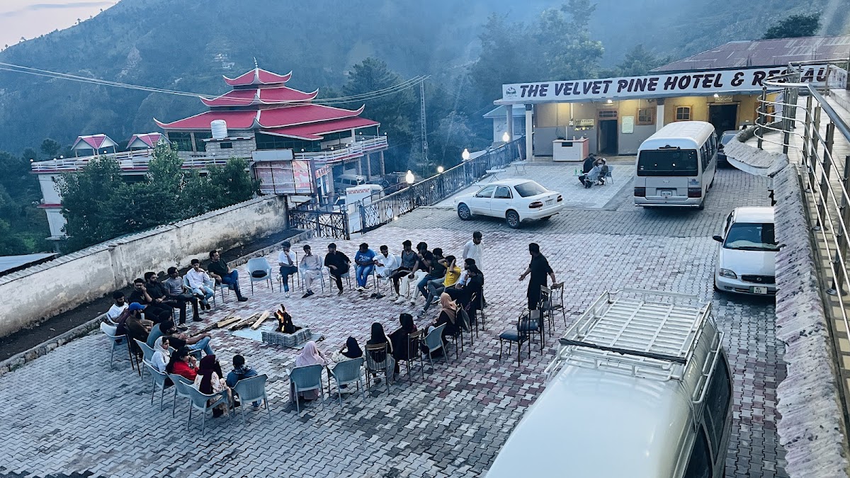 Velvet Pine Hotel — photo 8
