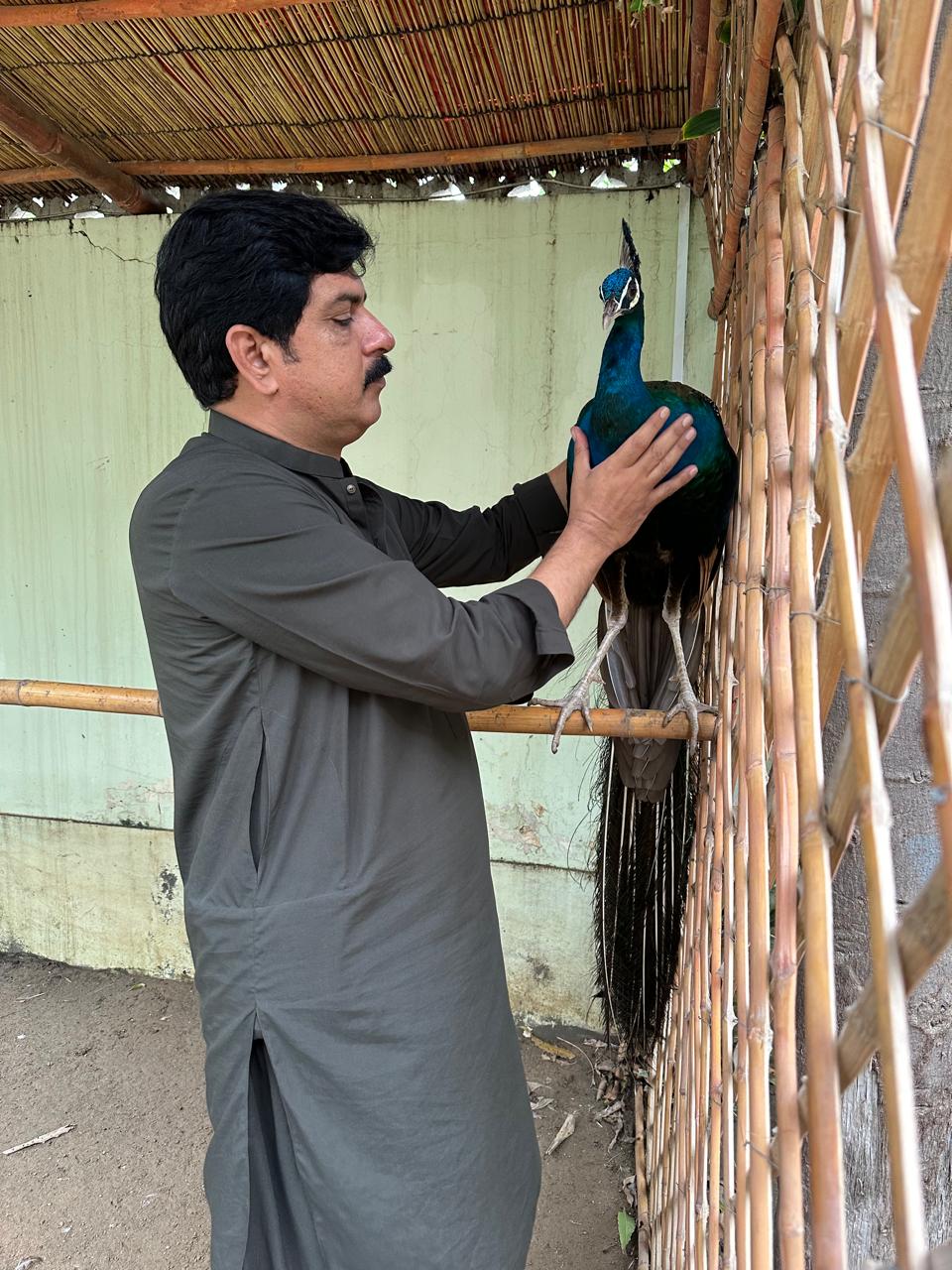 Bin Qasim Guest house — photo 9