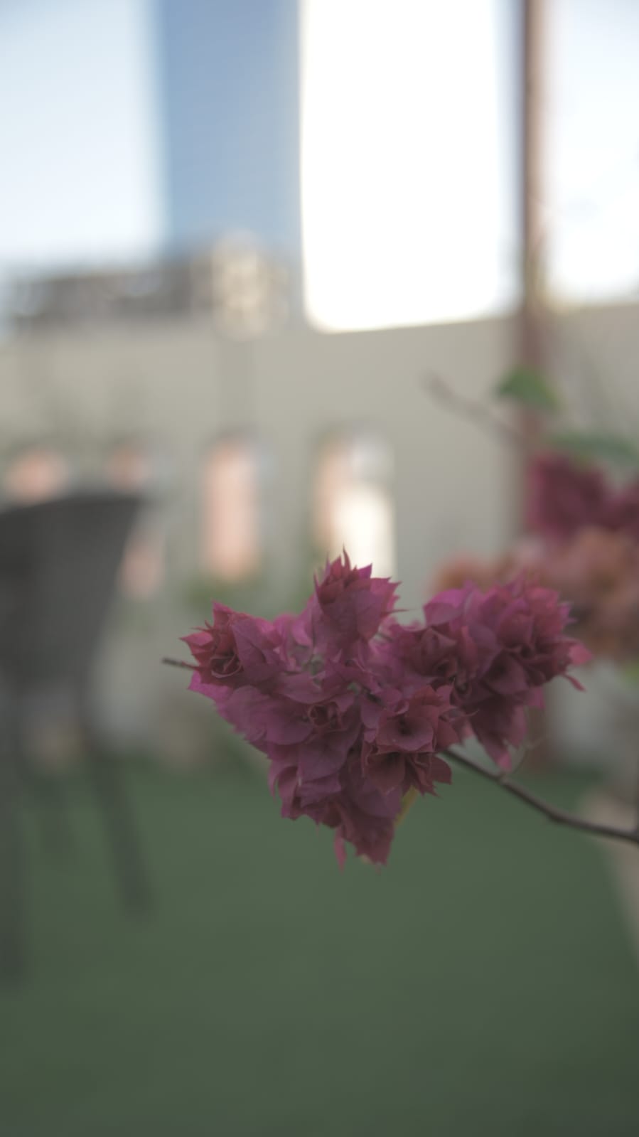 Signature Boutique Hotel Karachi — photo 10