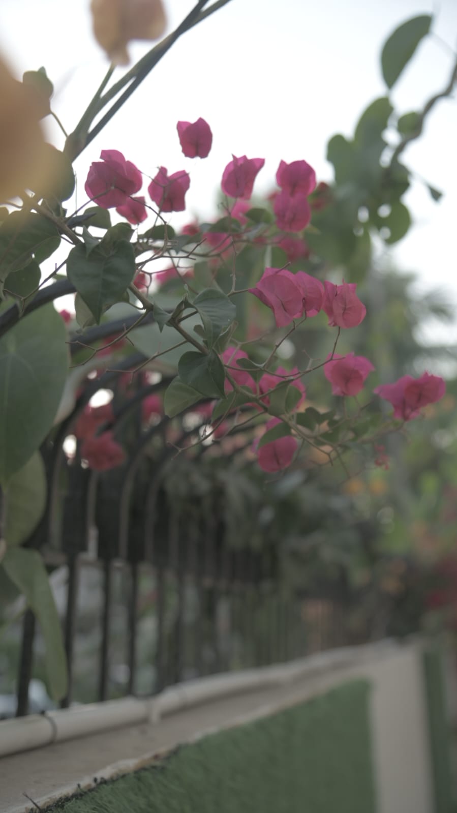 Signature Boutique Hotel Karachi — photo 9