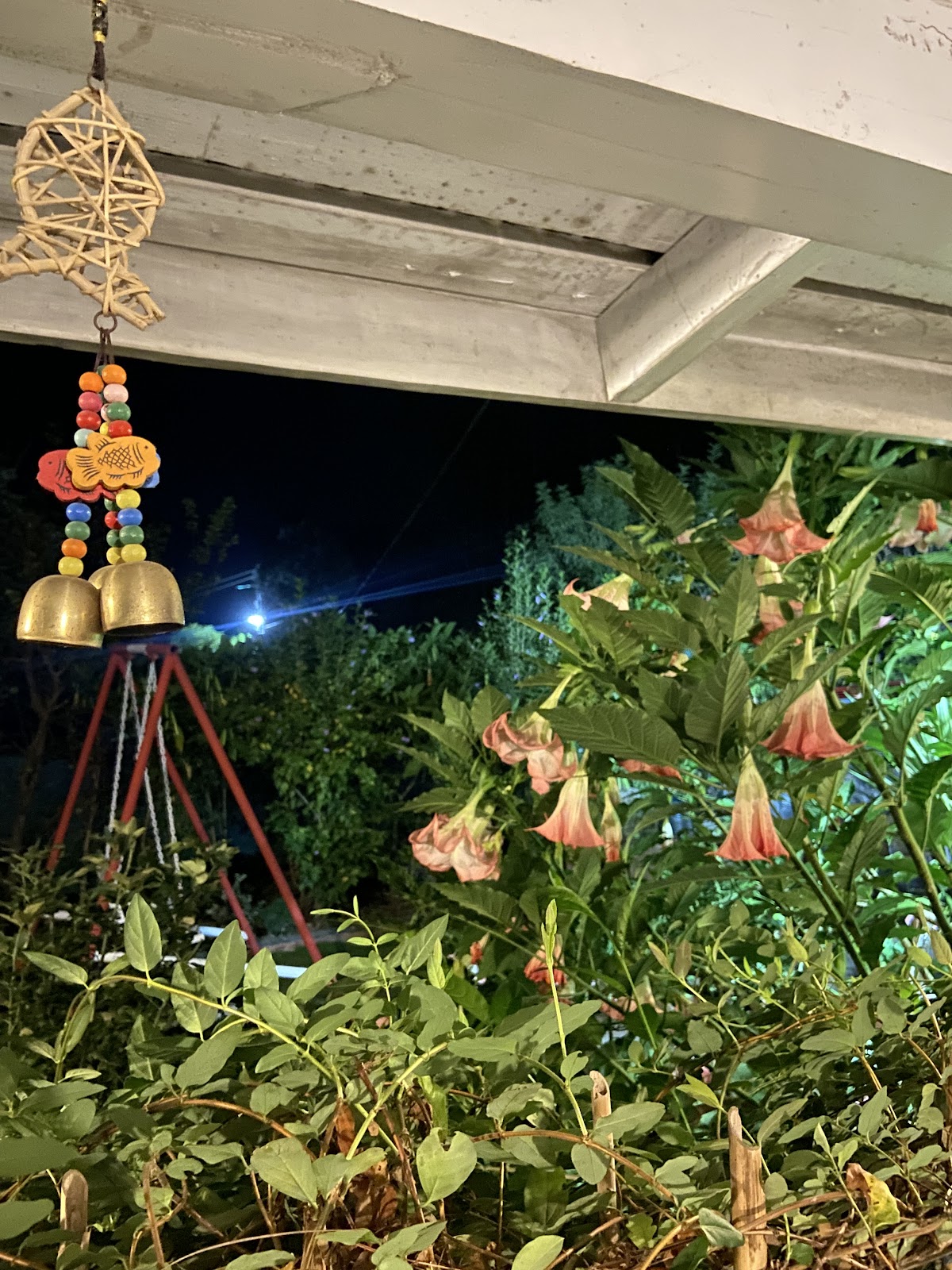 Hidden Resort — photo 6