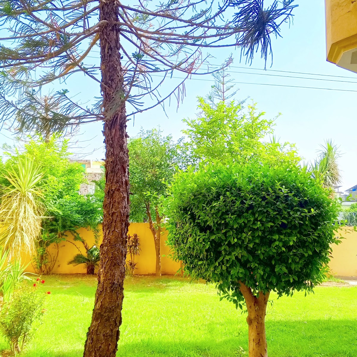 Guest House 🏠 — photo 9