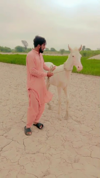 Tari Khel boys hostel - boys hostel in Mianwali, Punjab