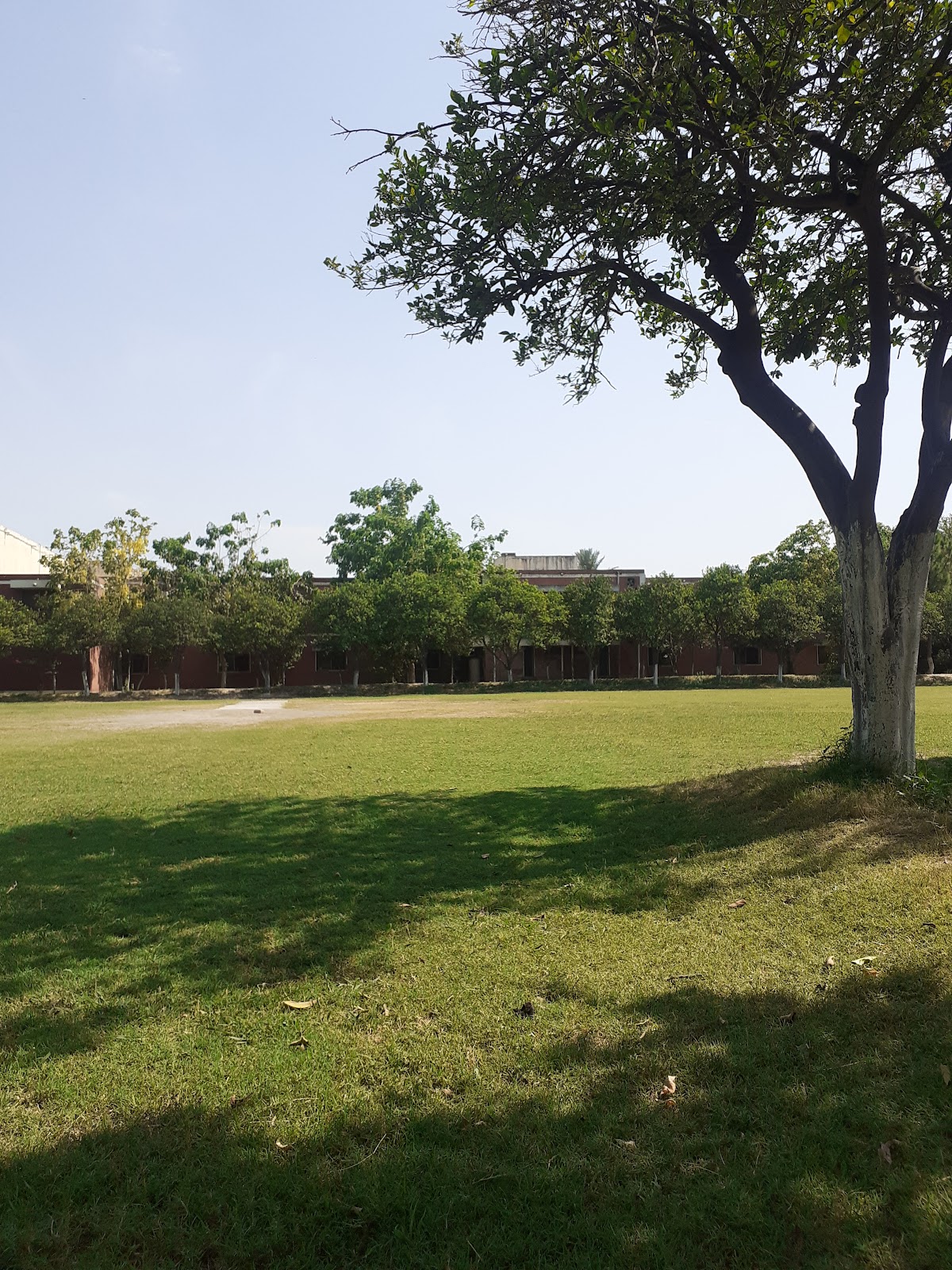 Shaikh Zayed Hostel Universty Of Peshawar — photo 10