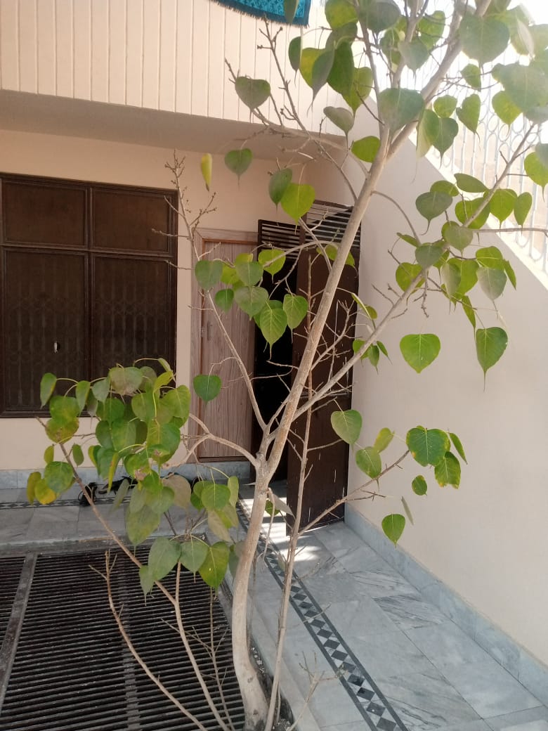 Al Haram Boys Hostel Faisalabad - boys hostel in Faisalabad, Punjab