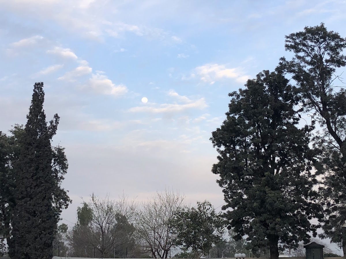 Army Medical College Boys Hostel — photo 8