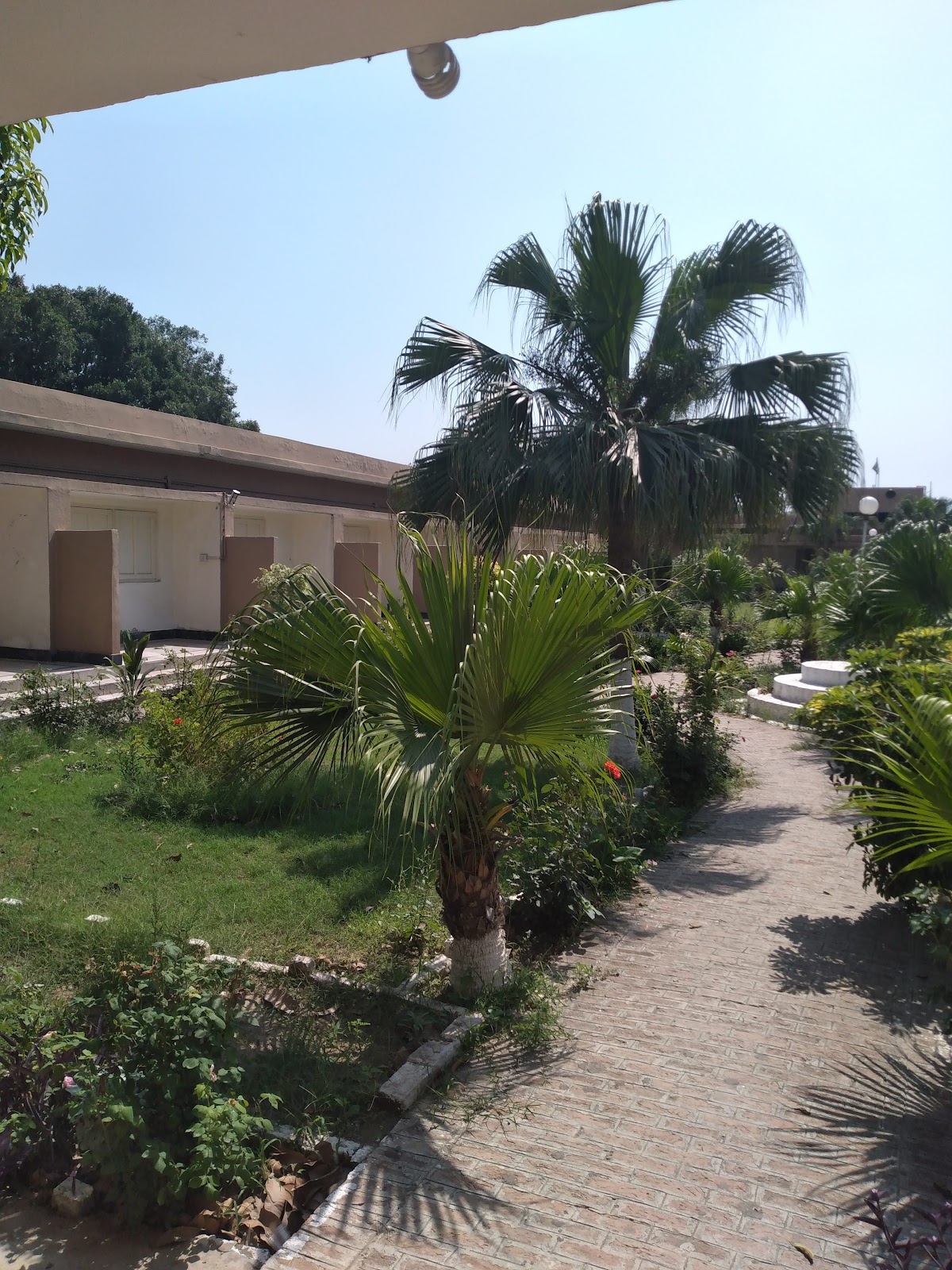 Foreign Faculty Guest House University of Peshawar — photo 9