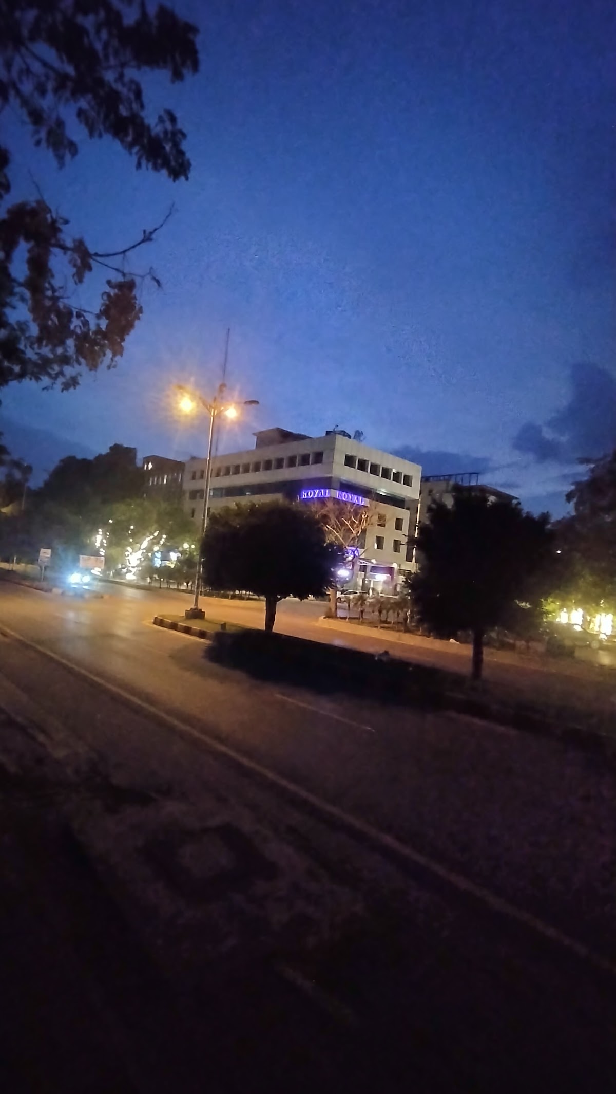 Royal Blue Hotel — photo 6