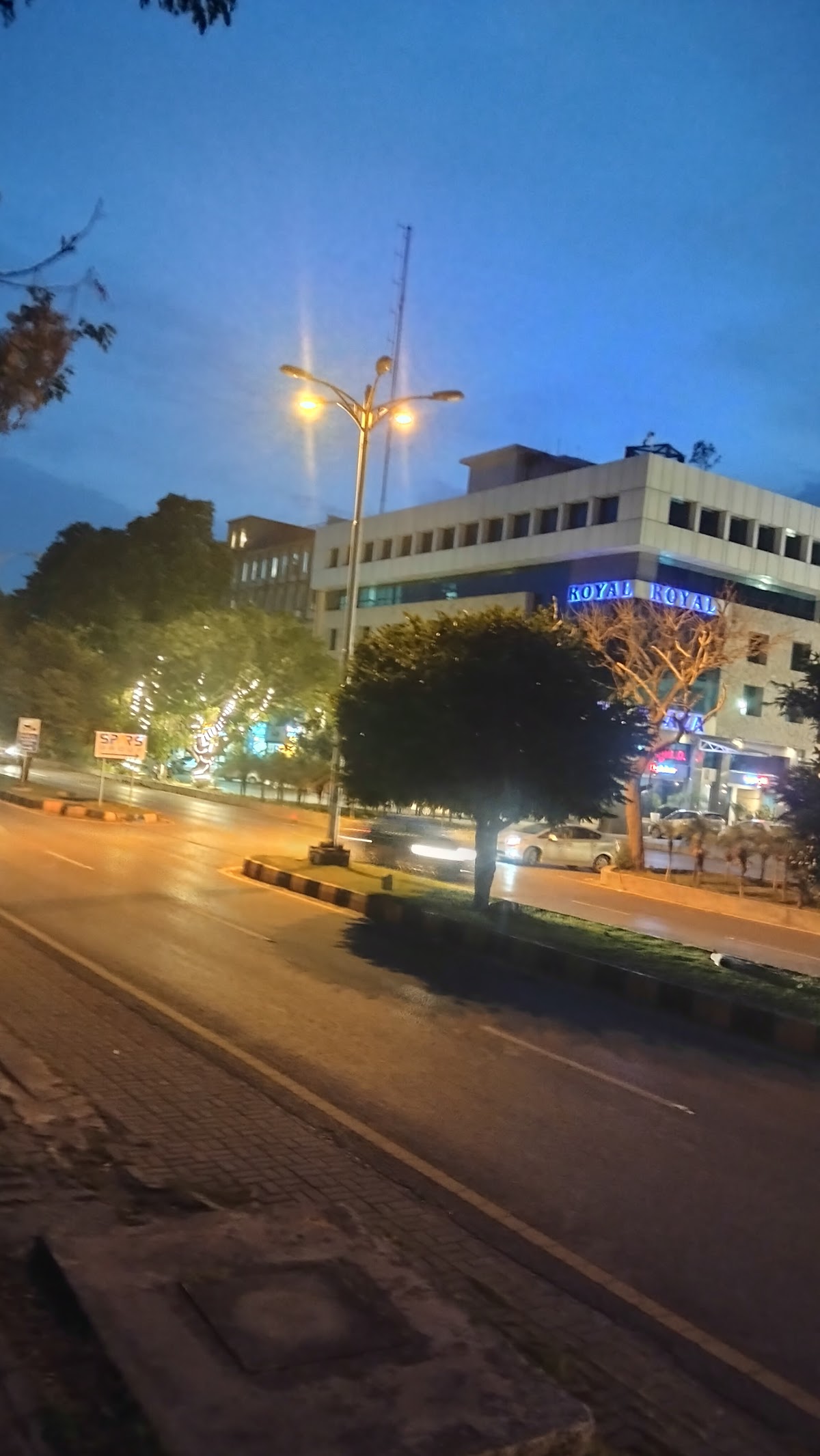 Royal Blue Hotel — photo 7