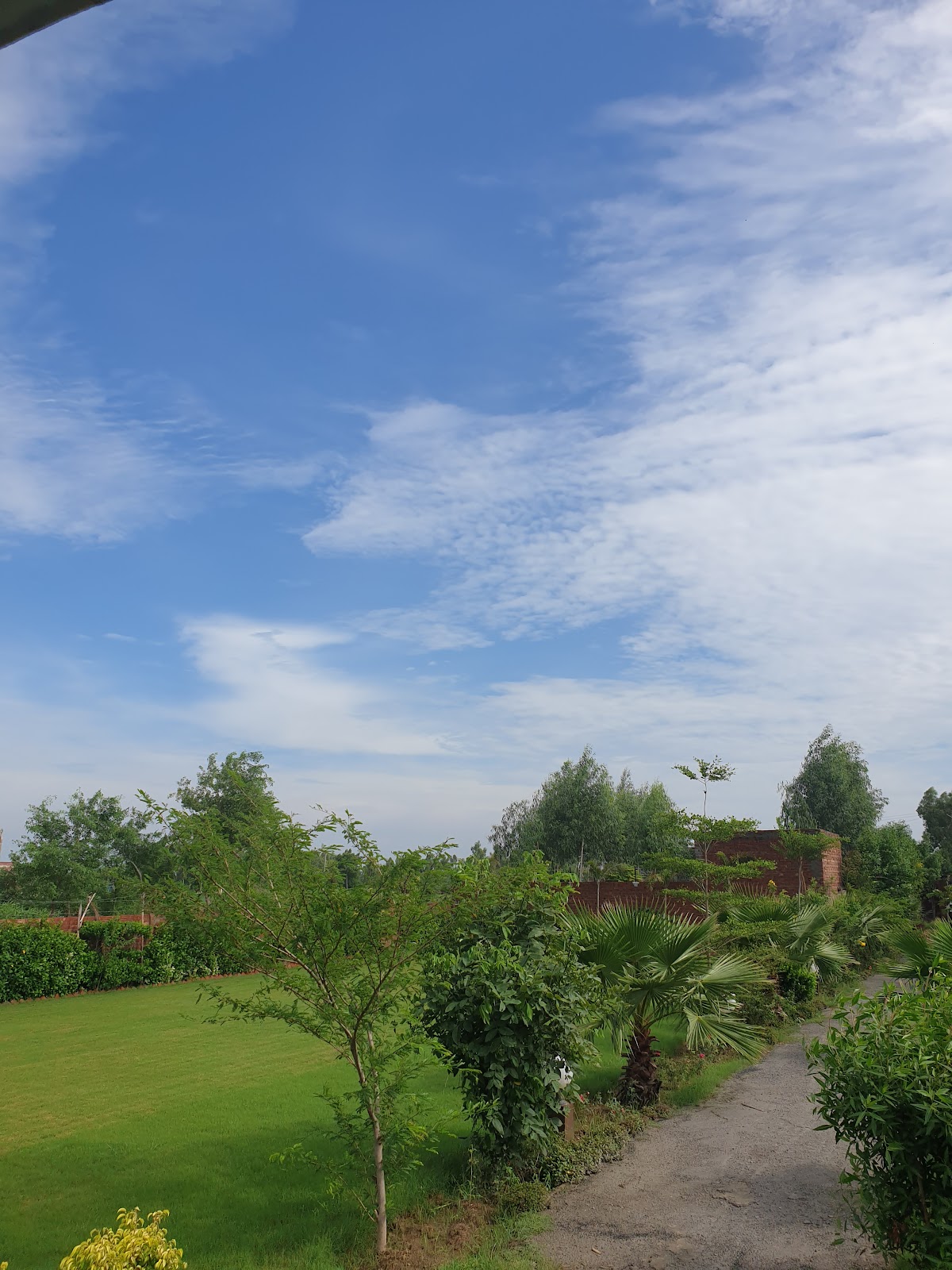Rana Talha FarmHouse — photo 6