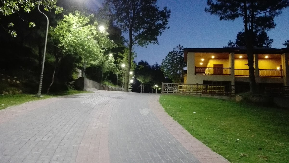 Chinar Family Resort — photo 9
