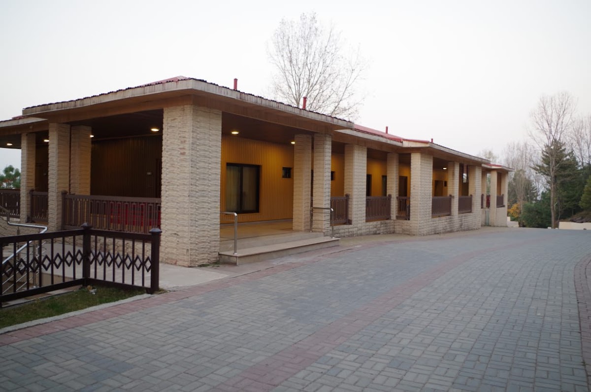 Chinar Family Resort — photo 6