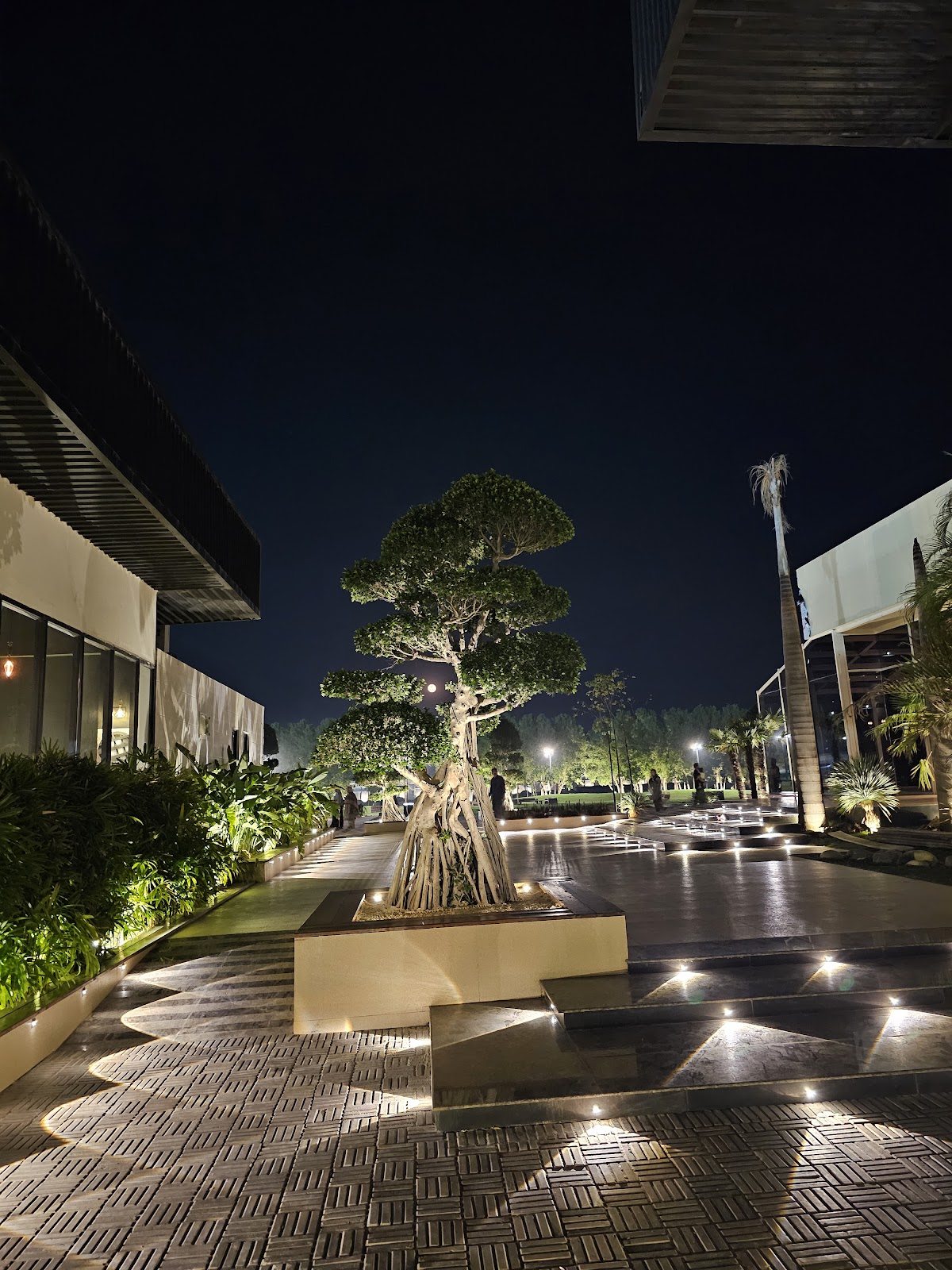 Naturals Club & Resort — photo 8