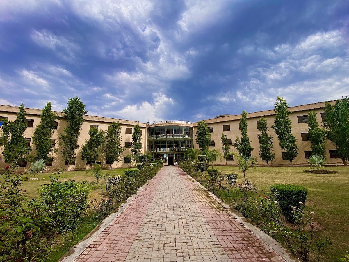 New Boys Star Hostel