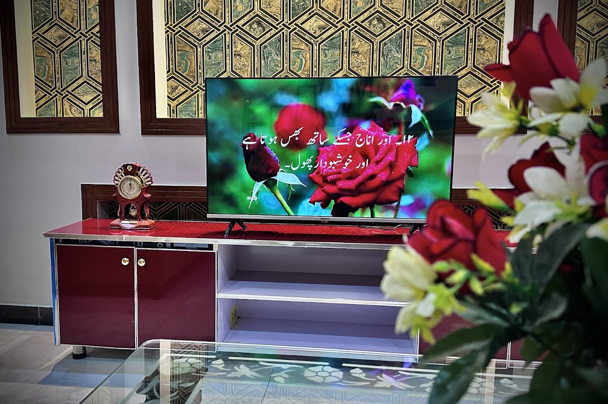 Homely Guest House — photo 6