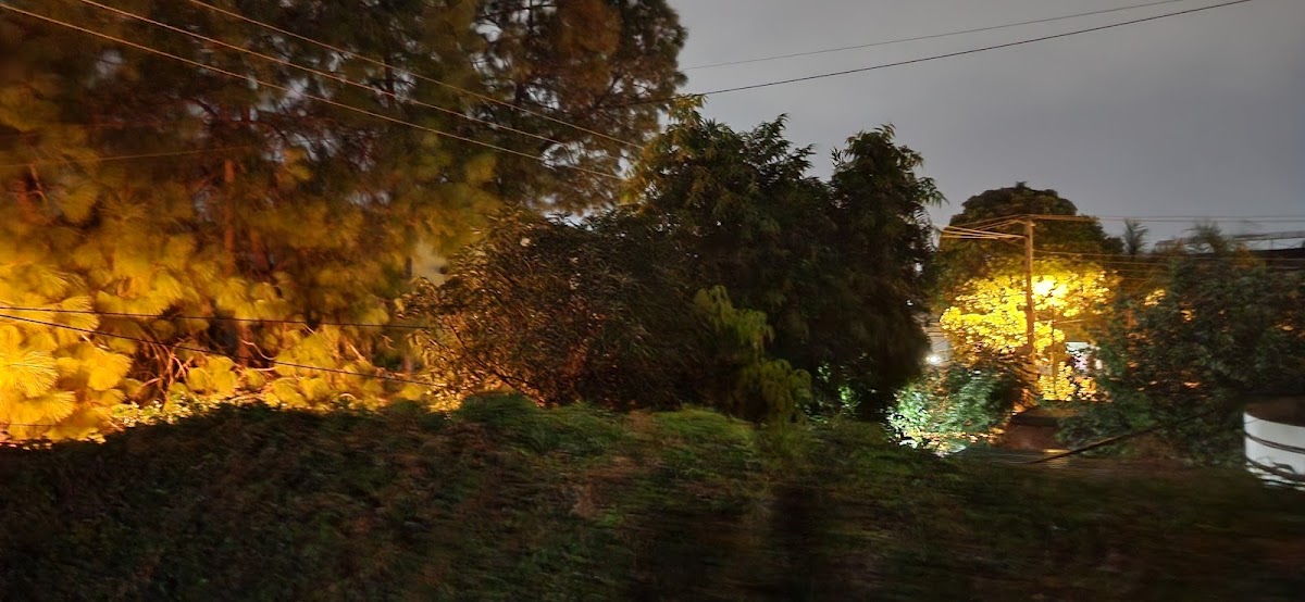 Ziaeya Residency — photo 7
