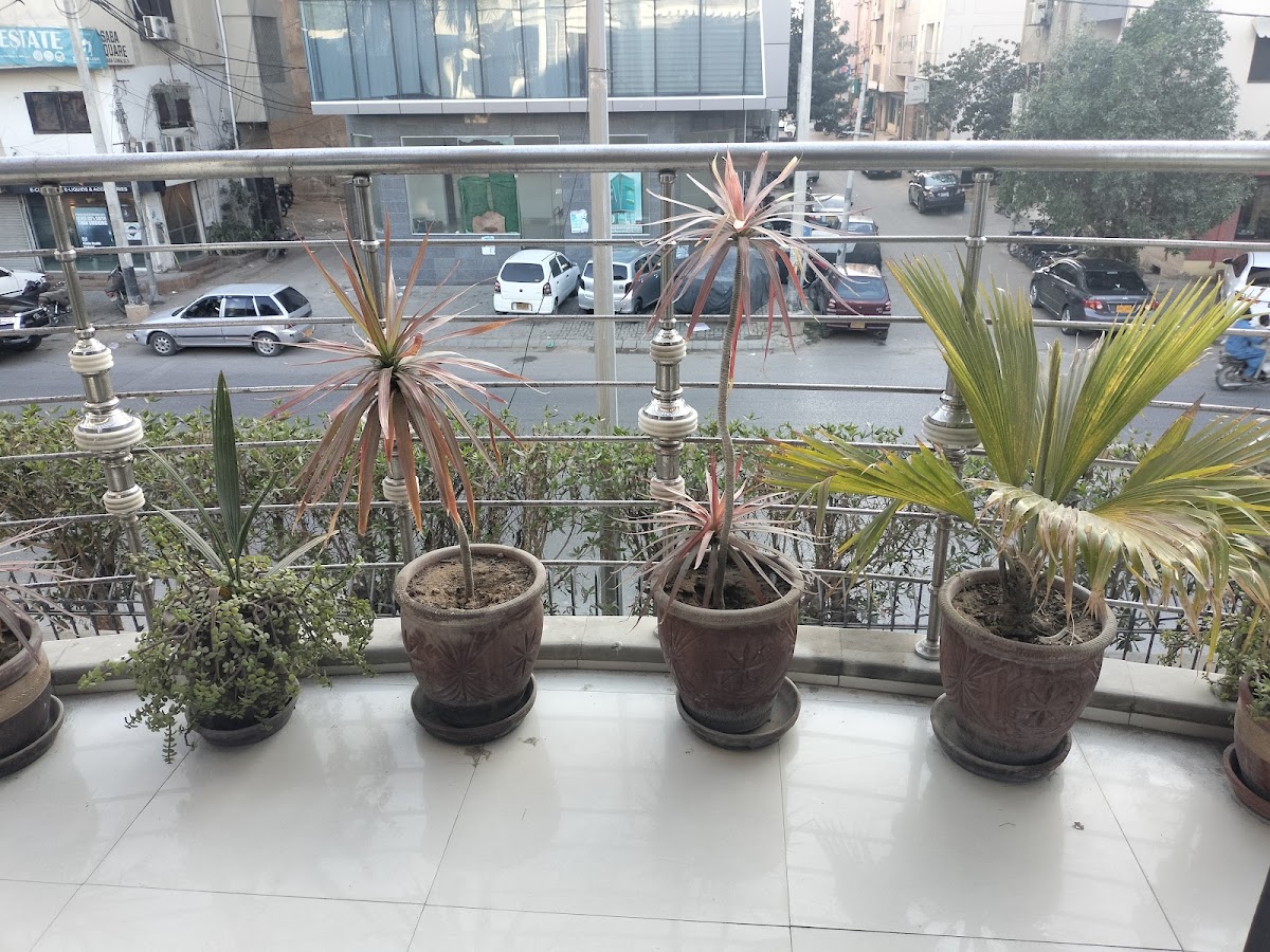 Saba Family Guest House DHA — photo 7