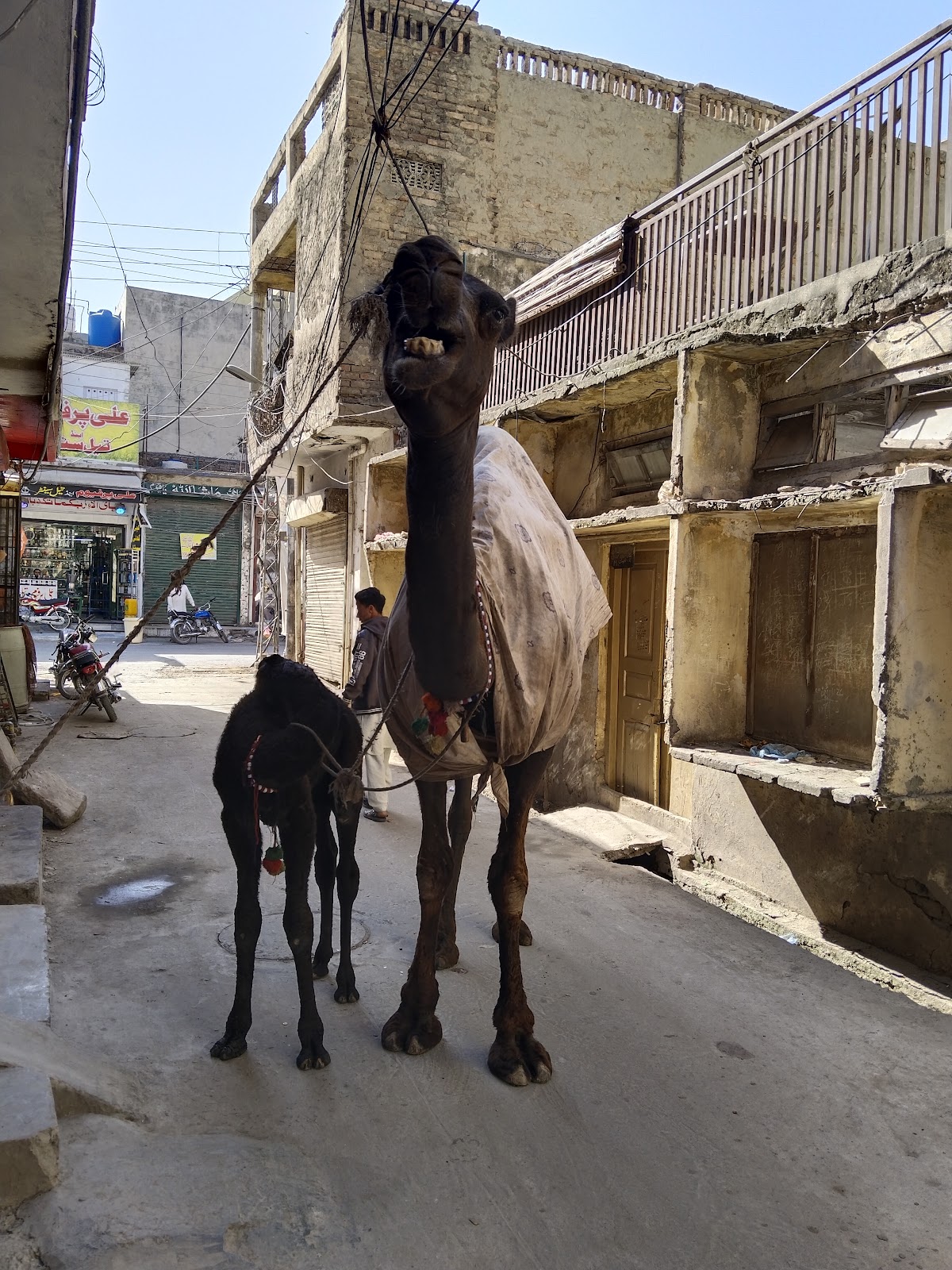 Gole house Rawalpindi