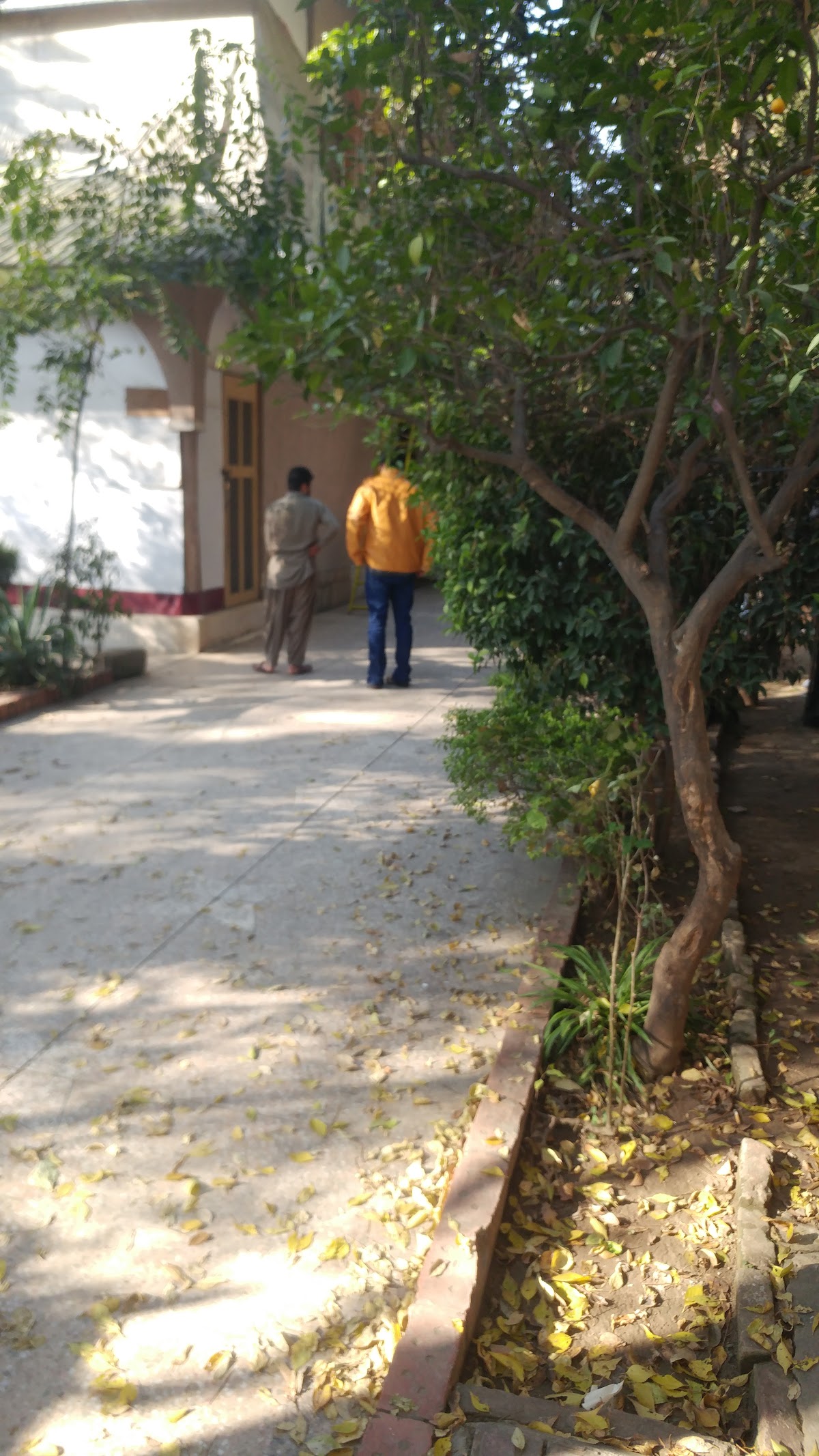 Superior Boys Hostel — photo 6