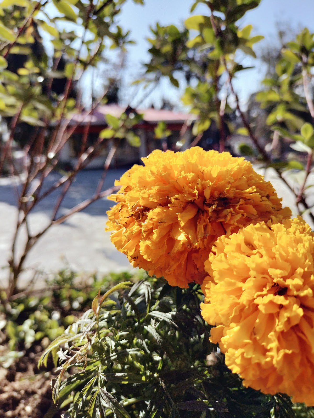 HUSNAIN RESORT — photo 8