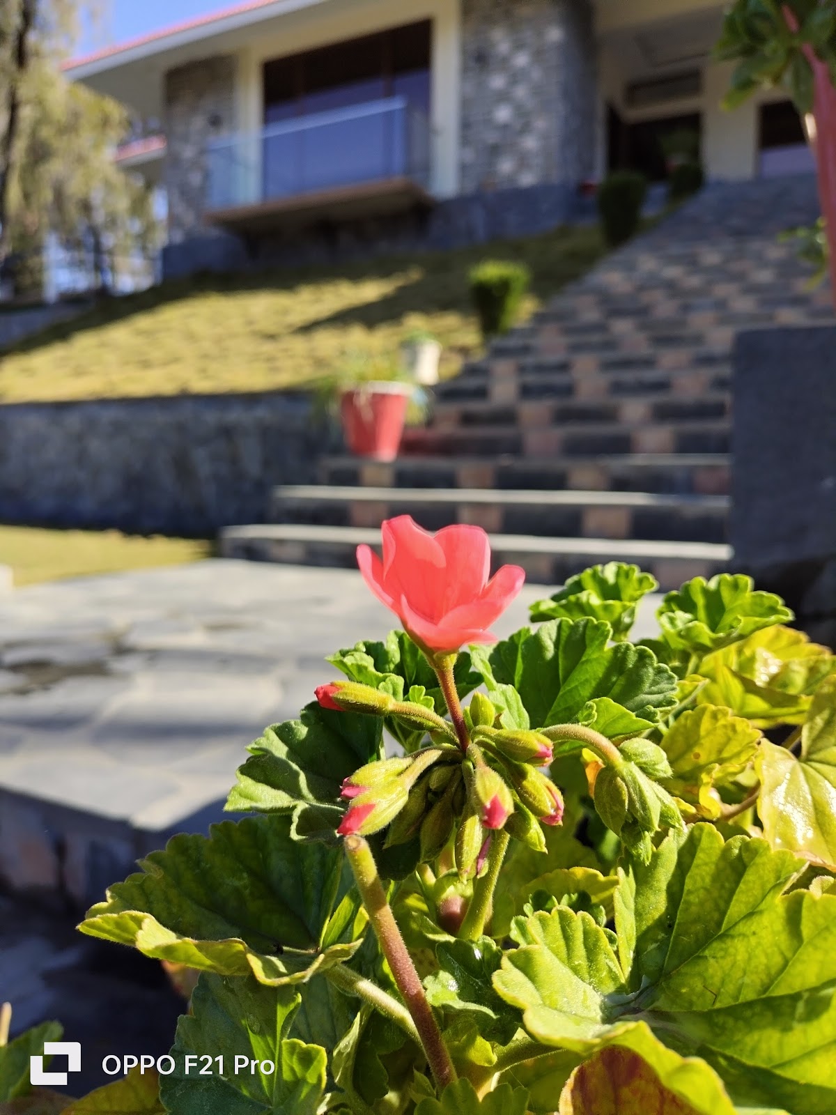 HUSNAIN RESORT — photo 10