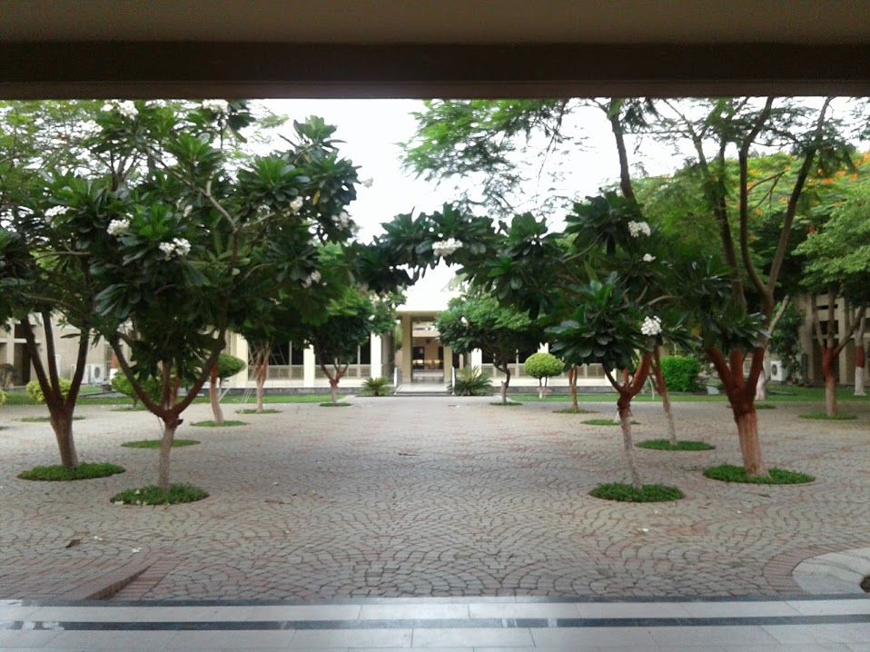 IBA Boys Hostel — photo 6