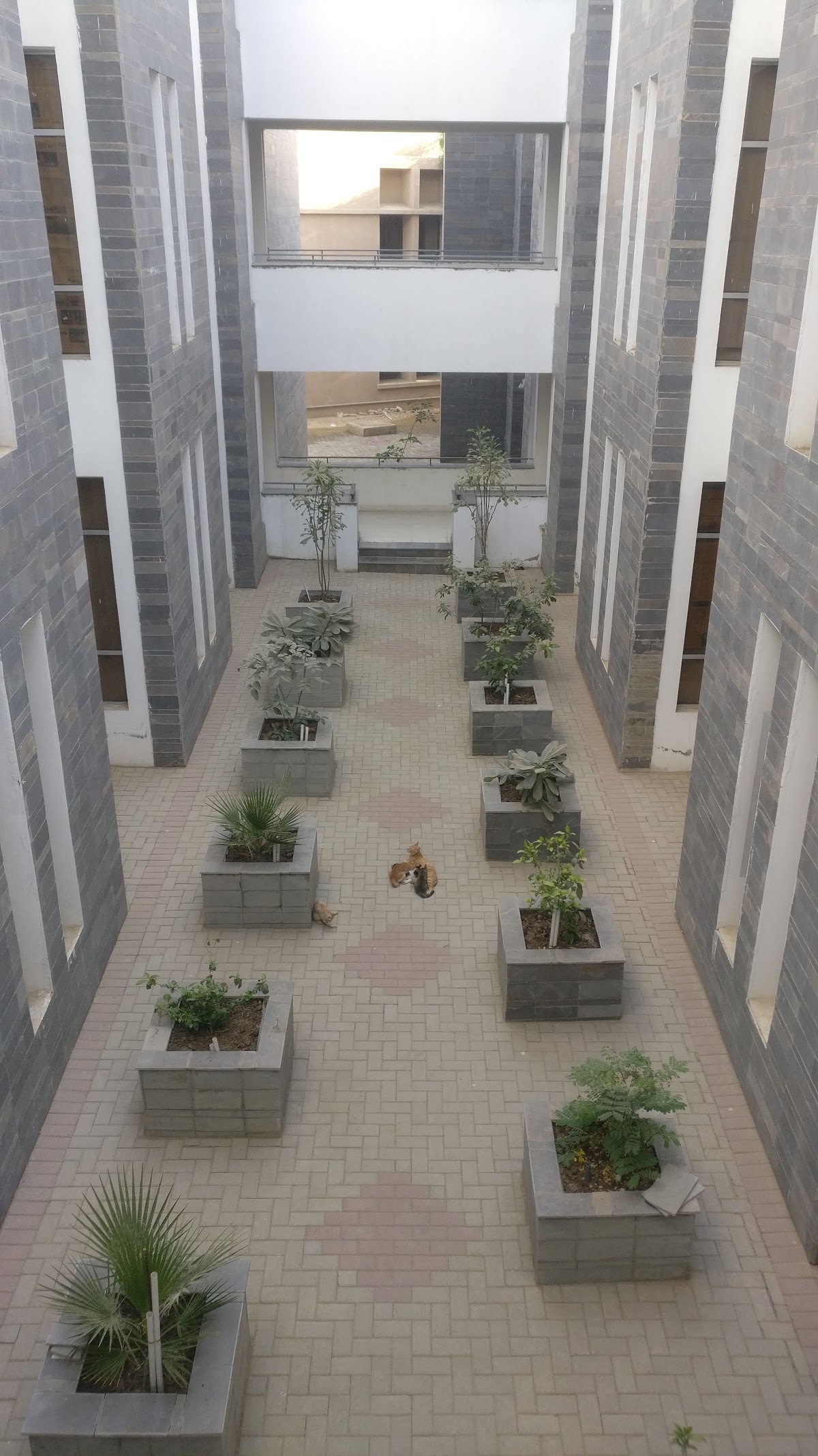 IBA Boys Hostel — photo 7