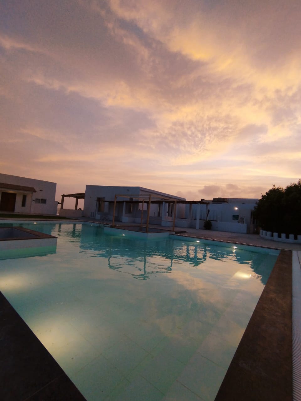 The Cove - Beach Resort & Club — photo 9