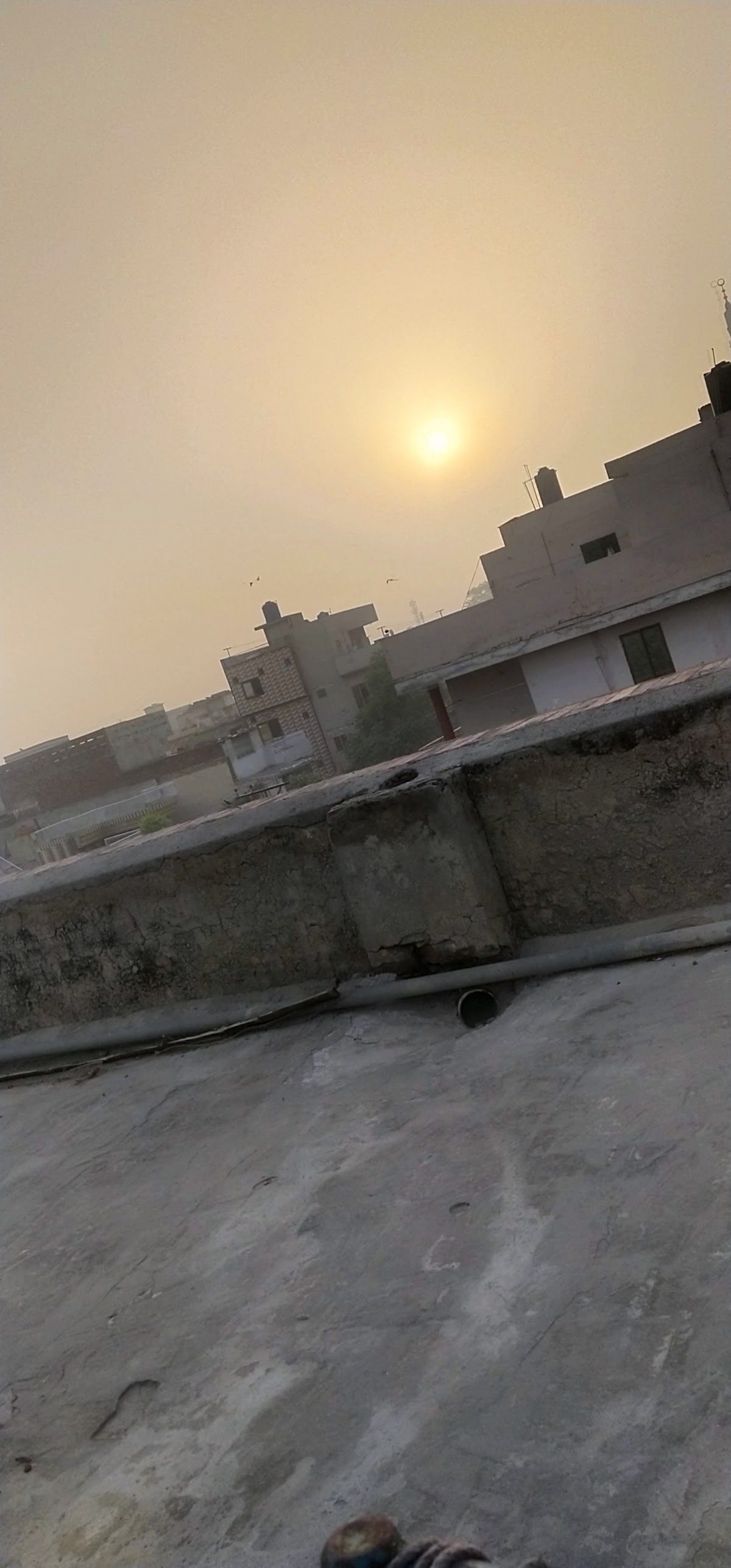 Working Women Hostel — photo 8