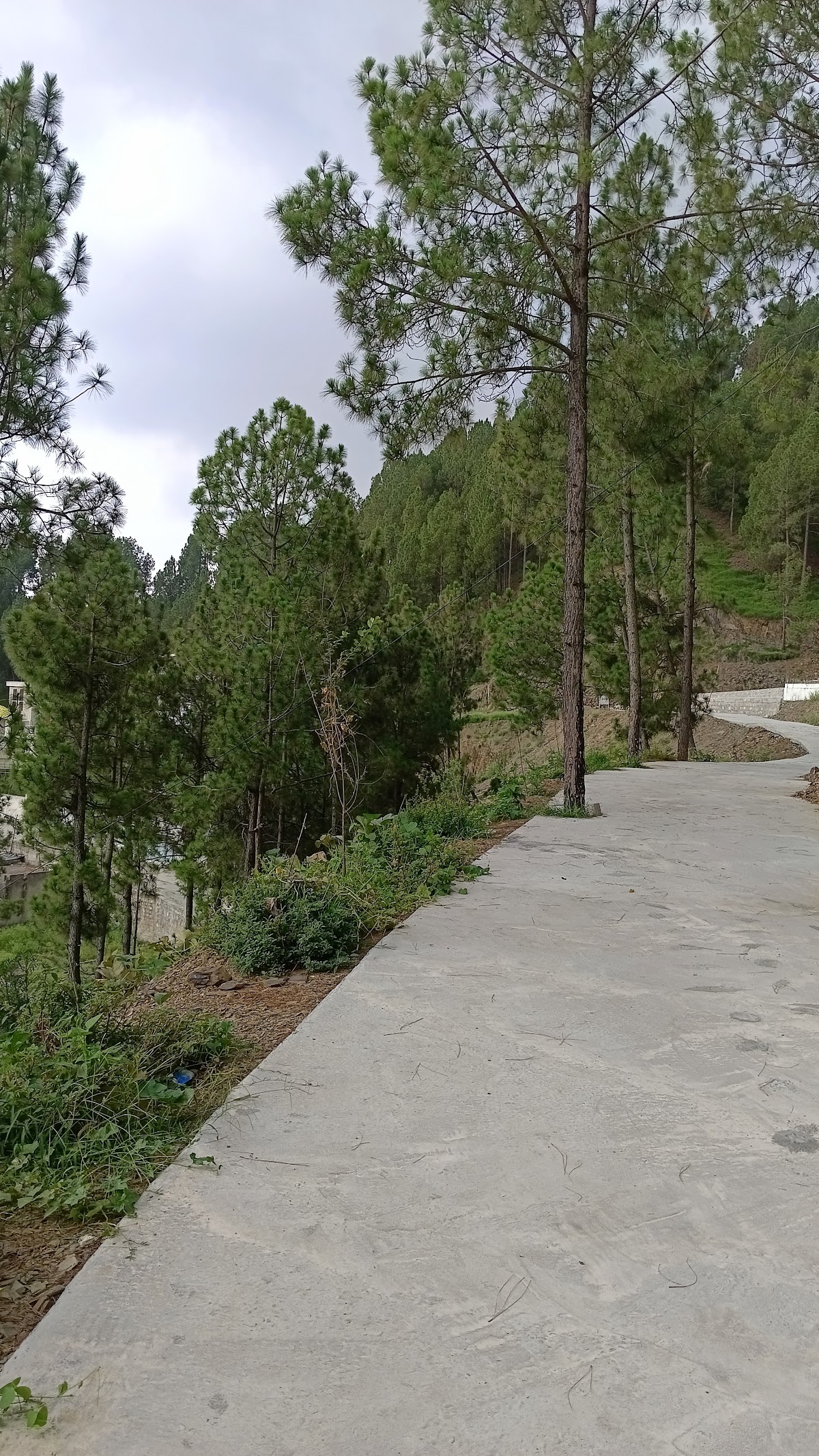 Ranim Family Lodge — photo 10