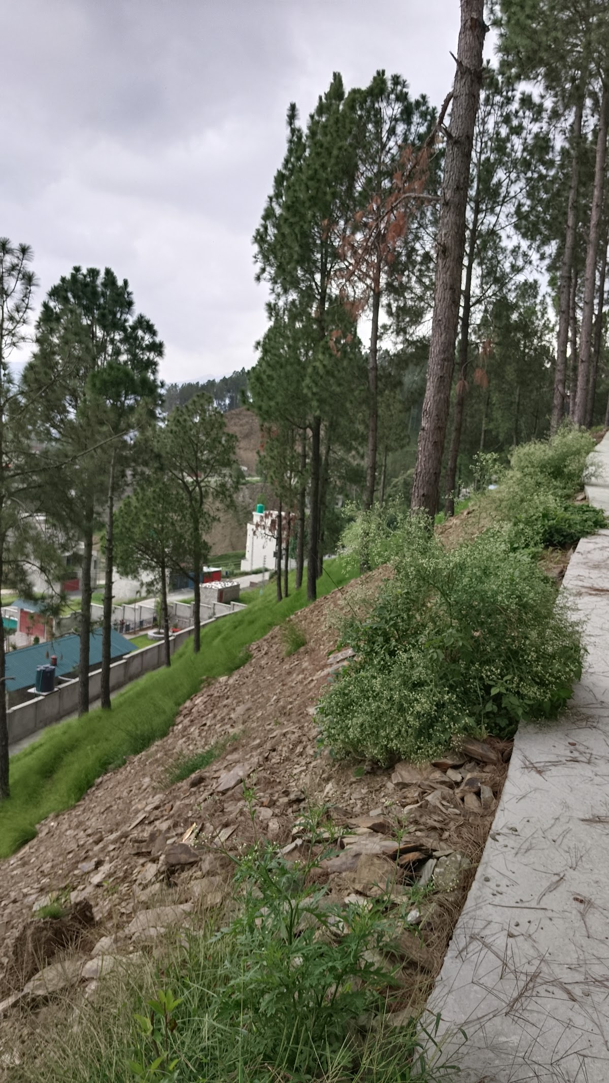 Ranim Family Lodge — photo 7